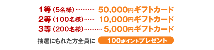 プレゼント内容